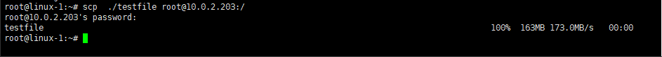 image-test1_scp1