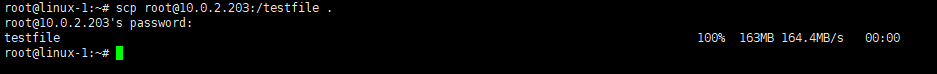 image-test2_scp1