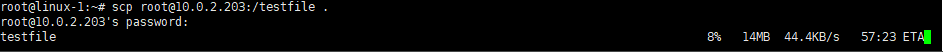 image-test2_scp2