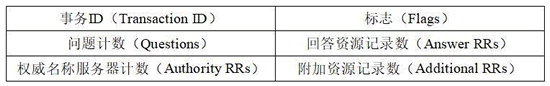 dns_packet_struct_header1
