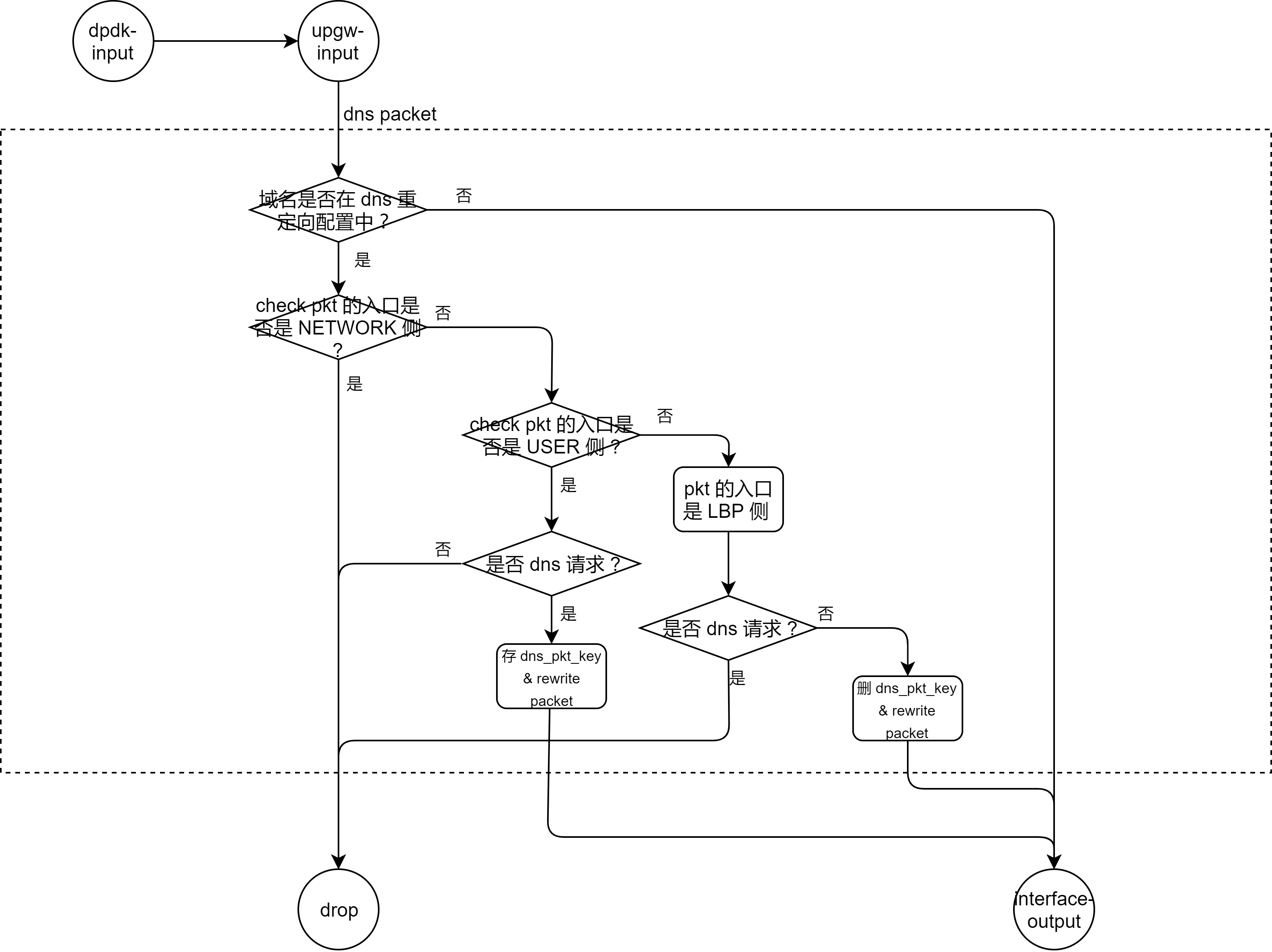 dns_redirect_process