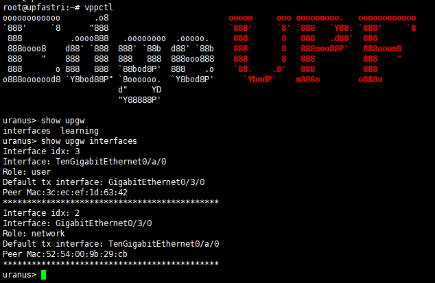 upgw_input3