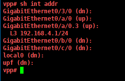 vpp_to_znet_host1