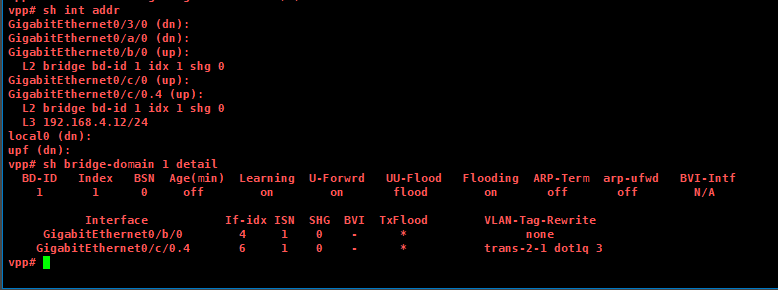 vpp_to_znet_host3