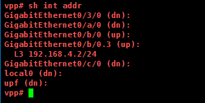 vpp_to_znet_host4