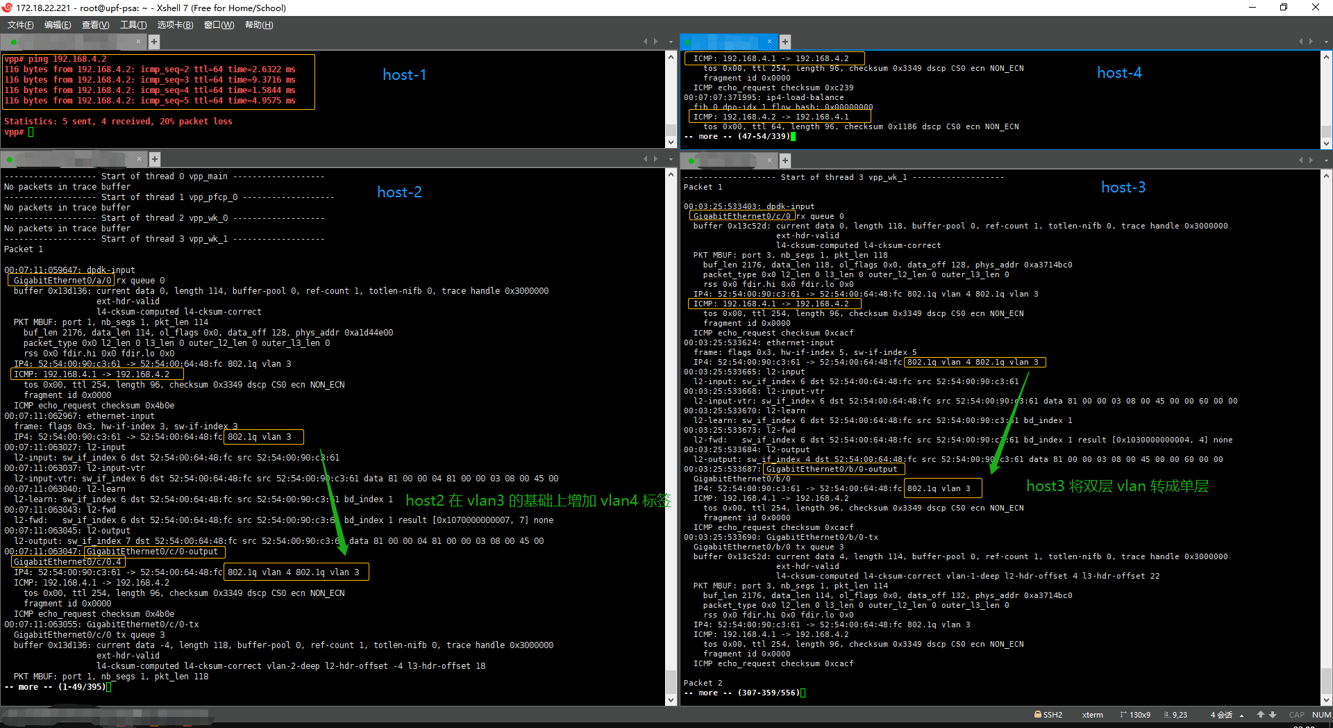 vpp_to_znet_result
